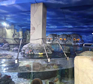 Sealife Aquarium 186-191