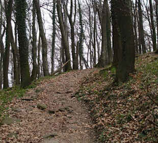 Stetiger Anstieg zum Petersberg