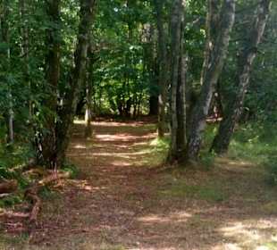 Wählen Sie zwischen 50 km