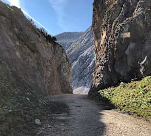 Wandern Kochelbergalm - Aulealm