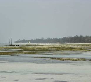 Plaża