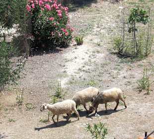 Frauenkloster Agios Ioannis