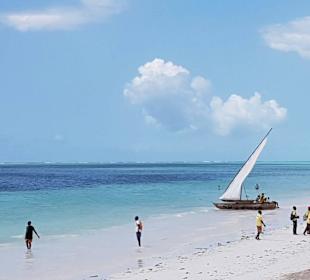 Business "hakuna matata" am Strand, die Jungs GEMG