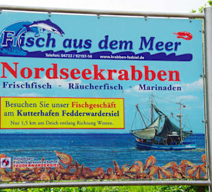 Info für frische Krabben Insel