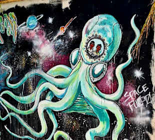 Stadtrundgang Akumal