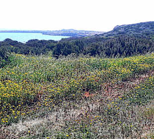 Nationalpark Kap Greco