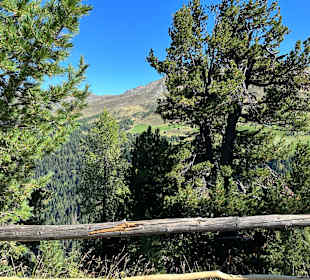 Wandern Gsiesertal