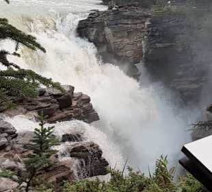 Athabasca Fälle