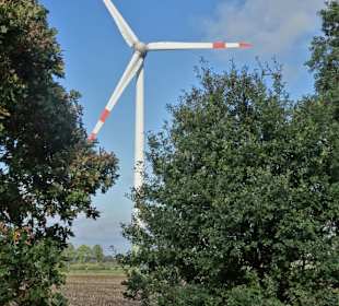 Rundgang um den Kleinen Bornhorster See