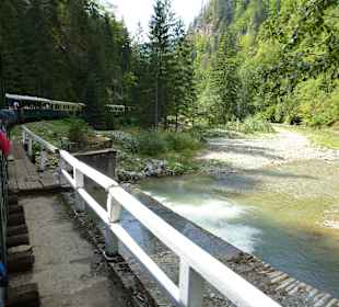 Rückfahrt nach Vieseu de Sus
