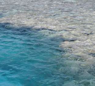 Eines der Korallenriffs