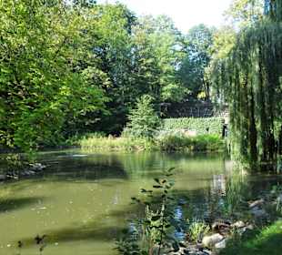 Eindrücke vom Rundgang durch den Stadtpark Fürth