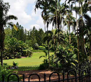 Botanischer Garten Singapur
