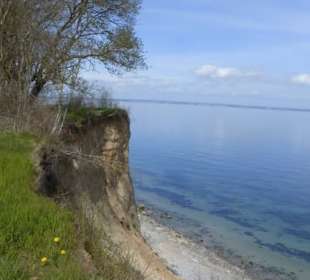 Bei unserer Wanderung an der Brodtener Steilküste