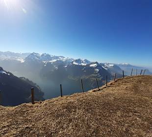 Fronalpstock