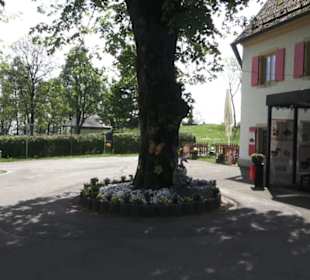 Wallfahrtkirche St. Maria