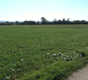 Kelten-Erlebnis-Pfad Erkenbrechtsweiler