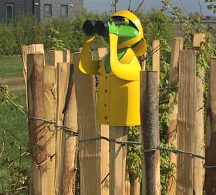 Wandern Schouwen-Duiveland