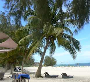 Mittagessen am Strand