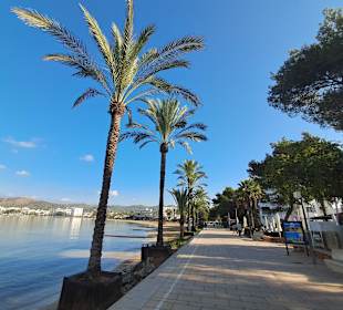 Strandpromenade San Antonio/San Antoni de Portmany
