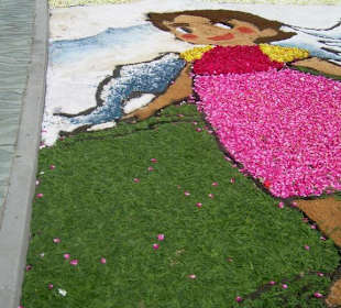 Alfombras florales Burela