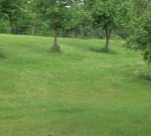 Gebetsgarten Heiligenbronn