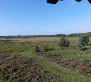 Blick auf das zur Zeit ausgetrocknete "Feld"