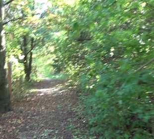 Baumlehrpfad Zollertal