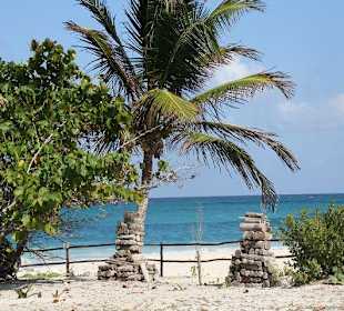 Schildkrötenstrand in Tulum