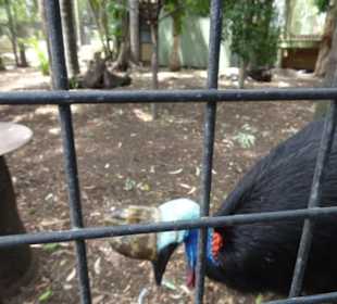 Stadtrundgang Sydney