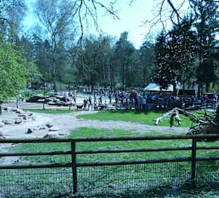 Streichelzoo