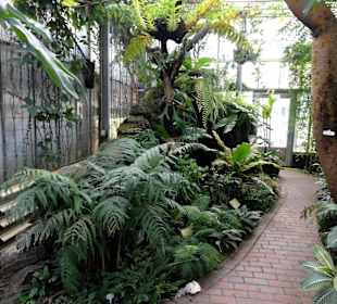 Tropenhaus im Botanischen Garten