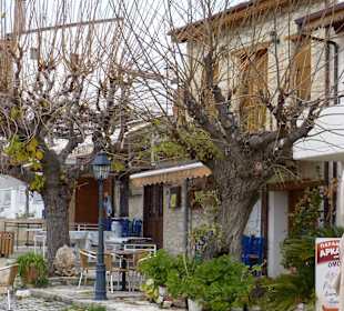 Ausflug in das Troodos Gebirge
