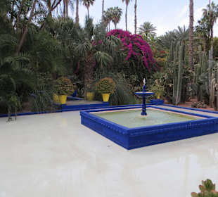 Eindrücke aus dem Jardin Majorelle Garten