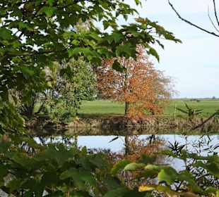 Impressionen von der Weserinsel Harriersand