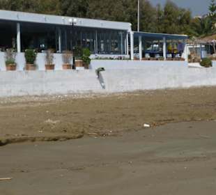 Zum Frühstücken schon am Strand