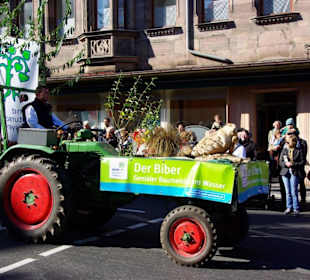 Bund Naturschutz Festwagen Biber