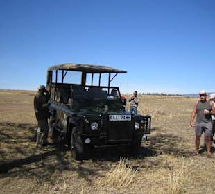 Safari in die masai-mara