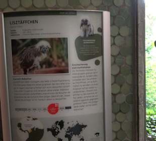 Tierpark Hellabrunn - Welt der Affen