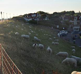 Stadtrundgang Zoutelande