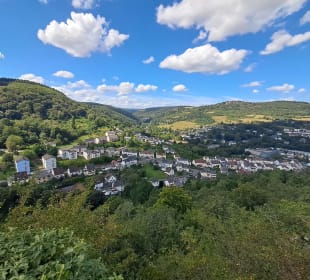 Ruine Kyrburg in Kirn