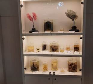 Seehundstation Norddeich in Norden