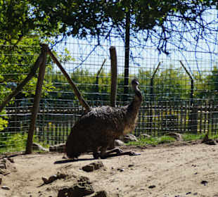 Zoo Arche Noah Grömitz
