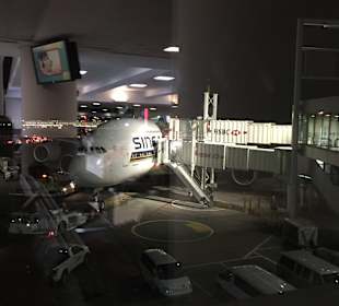 John F. Kennedy Flughafen (JFK)