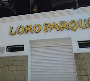Loro Parque in Puerto de la Cruz