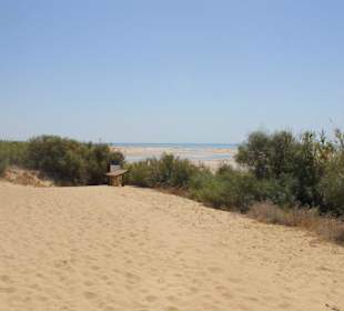 Blick in das Naturschutzgebiet