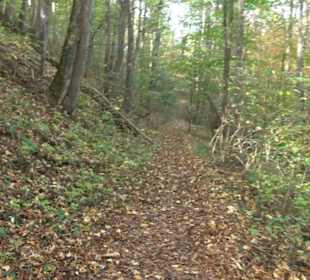 Premiumwanderweg hochgehkeltert