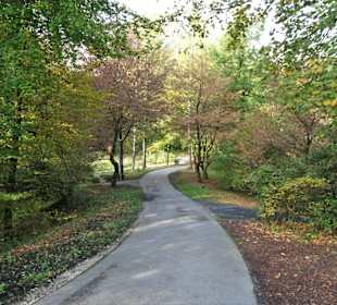 Impressionen aus dem Kurpark Bad Iburg
