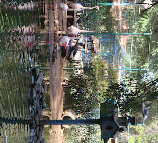 Ausflug in den Vogelpark