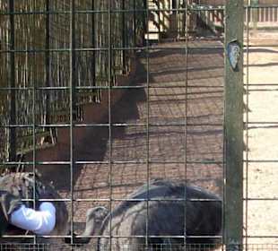  Zoologischer Garten Kaiserslautern